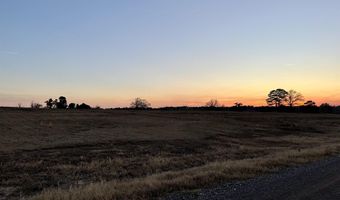 Tbd PR 3399 Lot 80, Big Sandy, TX 75755