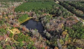 7501 Rainey Morris Rd, Appling, GA 30802