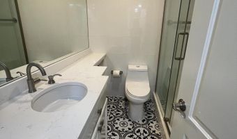 910 W Hallam St 12, Aspen, CO 81611