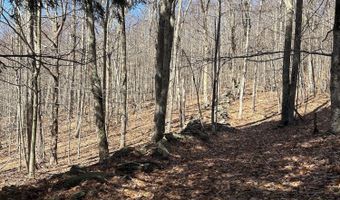L21.1 Alder Pond Road, Andes, NY 13740