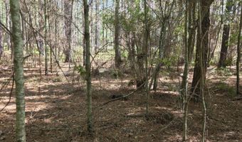 2862 Wallace Dr, Bogue Chitto, MS 39629