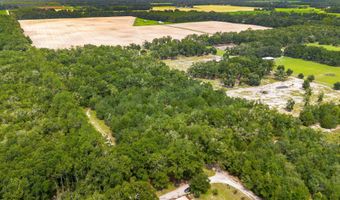 0 NW 40th Ave, Bell, FL 32619