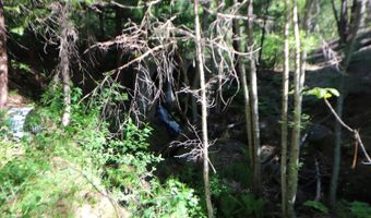 2159 Sierra Pkwy, Arnold, CA 95223