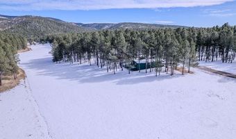 40 Via Del Rey, Angel Fire, NM 87710