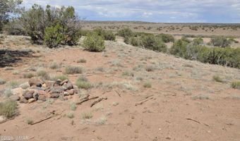 19 C & D County Rd N9033, Concho, AZ 85924