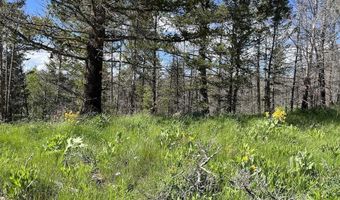 DEER HAVEN 40 AC Road, Bondurant, WY 82922
