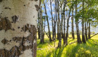 Springhill Community Road, Belgrade, MT 59714