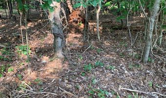 Rock House Road, Blacksburg, SC 29702