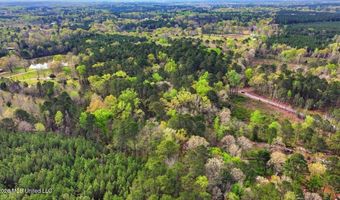 Harrisville Braxton Road, Braxton, MS 39044