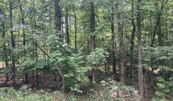 Lot 1069 Iron Gate Drive, Baneberry, TN 37890