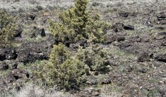 Oregon Pines Road, Beatty, OR 97621