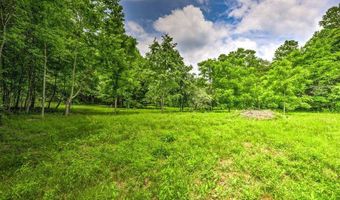 Stone Ridge Drive, Andersonville, TN 37705