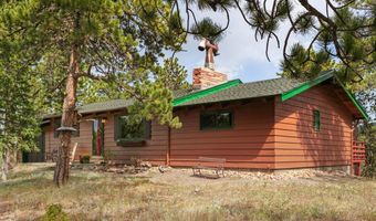 839 Ski Rd, Allenspark, CO 80510