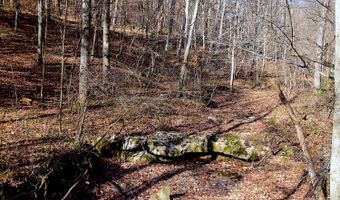 0 State Route 550, Amesville, OH 45711