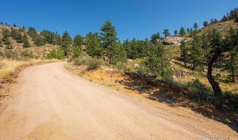 0 Pine Acres Way, Bellvue, CO 80512