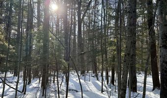 Lot 80-1 Currier Road, Candia, NH 03034