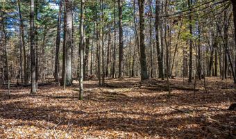 Lot 33 S Badger Lane, Arkdale, WI 54613