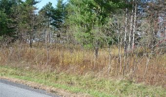 N Adams, Adams, NY 13605
