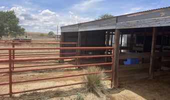 16903 N County Rd 2000, Abernathy, TX 79311