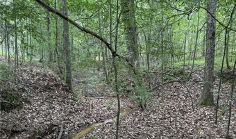154 County Road 38 Acres, Banks, AL 36005