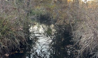 11 Acres RISER MILL ROAD Lot 11 Acres, Alpine, AL 35014