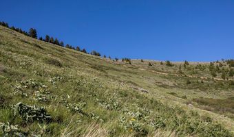 Trail Creek Road Lot 2, Bozeman, MT 59715