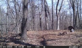 TBD Wilderness WY, Anderson, MO 64831