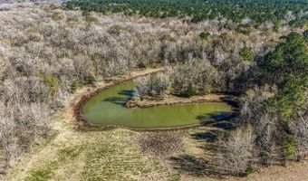 5280 Whitaker Way, Anderson, TX 77830