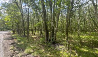 Seneca Trail, Albrightsville, PA 18210