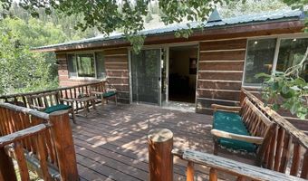 209 Deer Path Ln, Almont, CO 81230