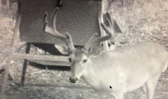 Tbd Fm-1304, Aquilla, TX 76622