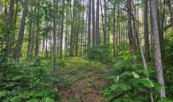 0 CO RD 3973, Arley, AL 35541