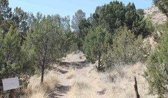 Tbd Mauer Drive, Bent, NM 88314