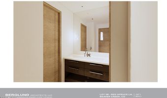 46 Red Spruce Ln 2, Beaver Creek, CO 81620