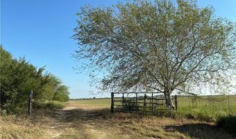 FM 1352, Alice, TX 78332