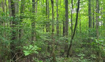 45 Acres 108th Ave, Allegan, MI 49010