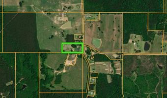 3100 Wallace Dr, Bogue Chitto, MS 39629