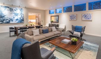 506 W Hallam St, Aspen, CO 81611