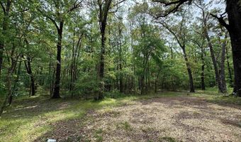 Tract 1 E Bay Road, Atkins, AR 72823