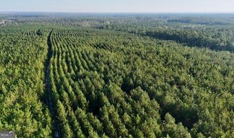 Penny Morris Road, Baxley, GA 31513