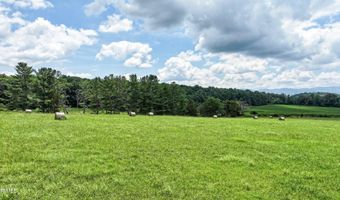 Chuckey Doak Road, Afton, TN 37616
