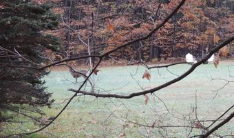 Lot 20 -20.3 Farr Road Lot 20-Lot 20.3 Farr Rd and Lot 11-11-1 Brook St, Chesterfield, NH 03466