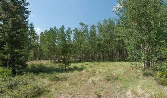 268 HIGH RIVER Ct, Alma, CO 80420