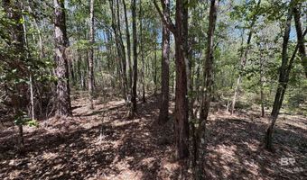 Ronald Sanks Road, Bay Minette, AL 36507
