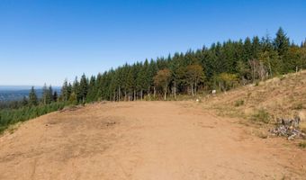 No SIte Address, Battle Ground, WA 98604