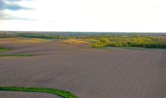Vine Avenue, Ainsworth, IA 52201