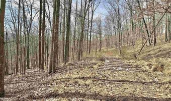 3938 Saint Clara Rd, Alum Bridge, WV 26321