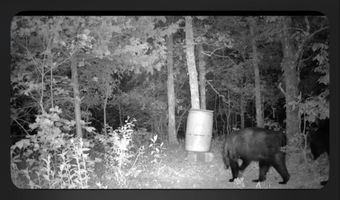 TR 18 & 19 LONG CREEK PASS, Albion, OK 74571