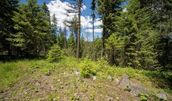 965 Trails End Rd, Athol, ID 83801