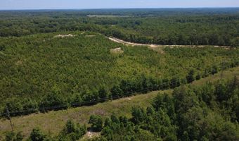 Tucker Road lot 11, Bath Springs, TN 38311